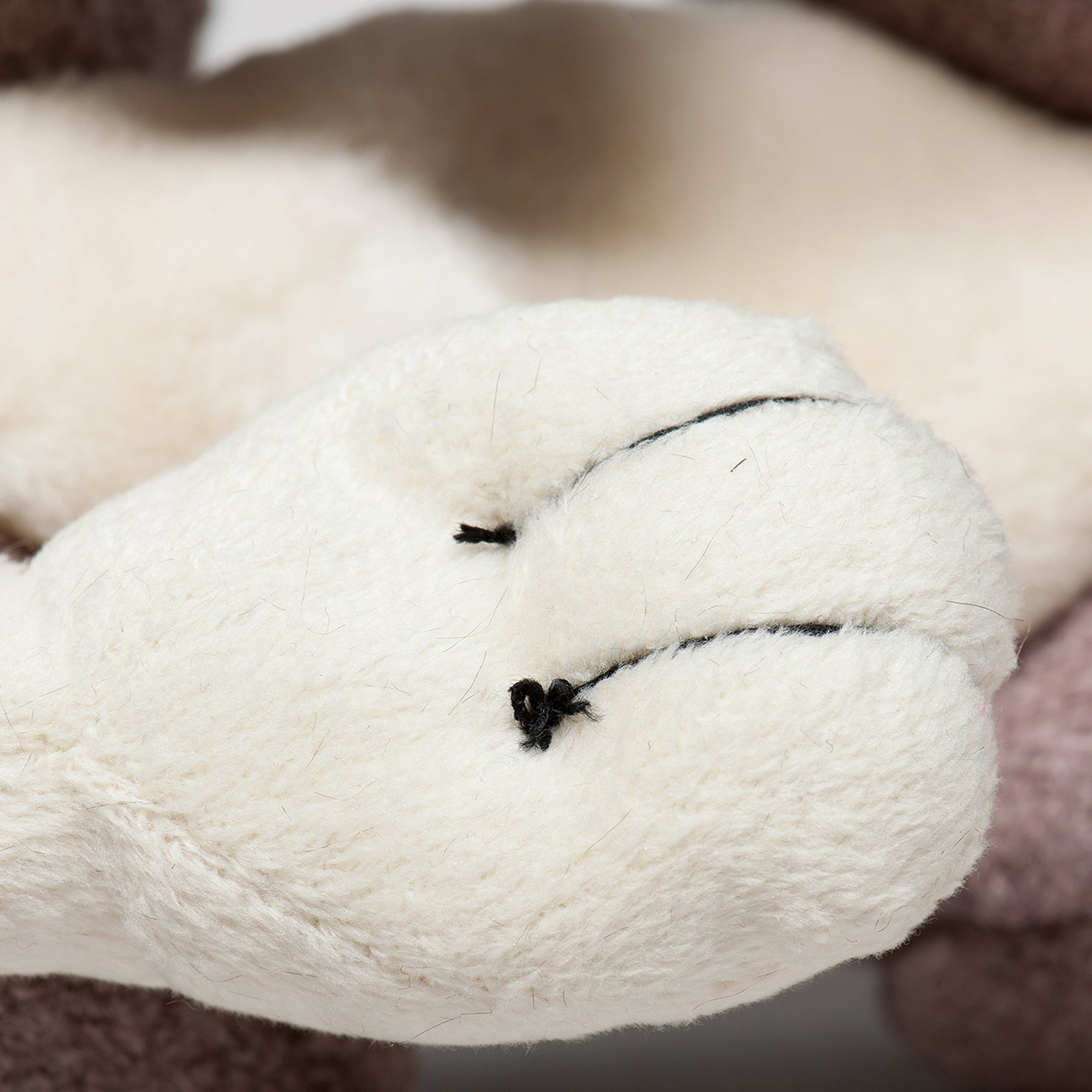 Pet Supply Product | The Finest Market