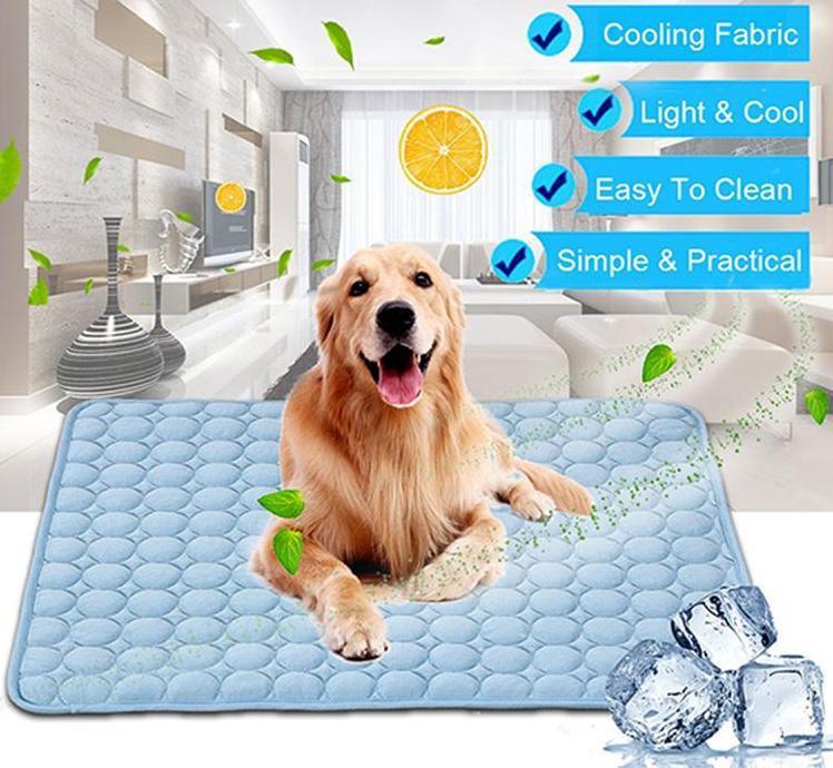 Pet Product - Premium Pet Accessory