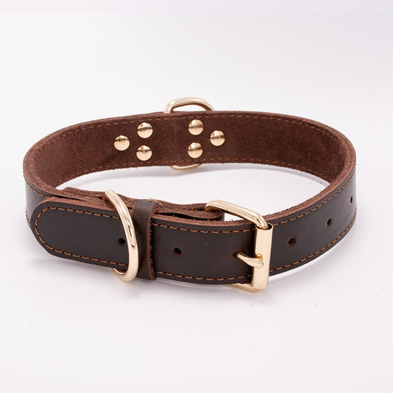 Dog Collar Classic Heavy Duty Adjustable Nylon Neck Strap - Detail Angle 5 | Majestic Pet Kingdom