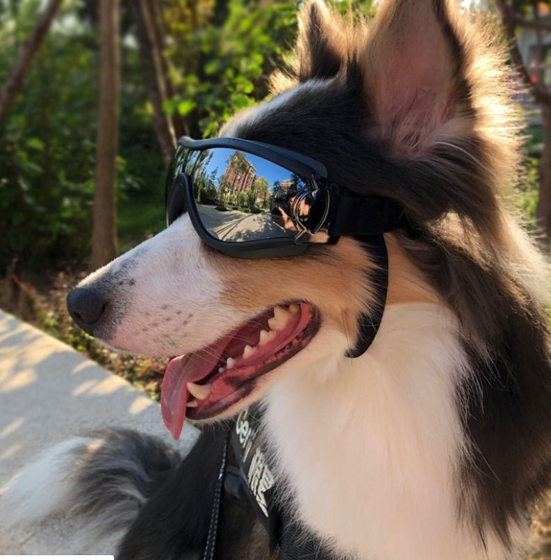 Pet glasses dog supplies goggles waterproof windproof sunscreen UV dog glasses - Purrfect Pet Kingdom™