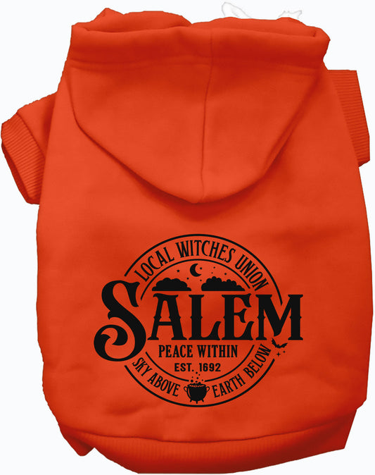 Salem Witches Union Spooky Halloween Pet Costume Hoodie