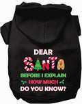 Santa How Much Do You Know Christmas Pet Hoodie