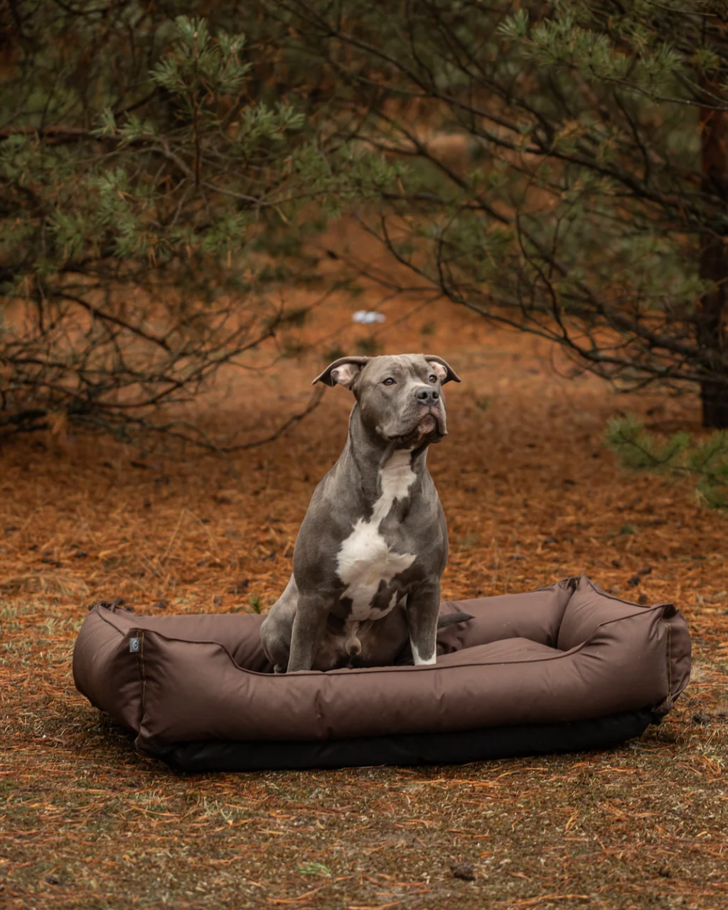 Waterproof Dog Bed – Oxford Fabric, Indoor Outdoor, Brown - Majestic Pet Kingdom