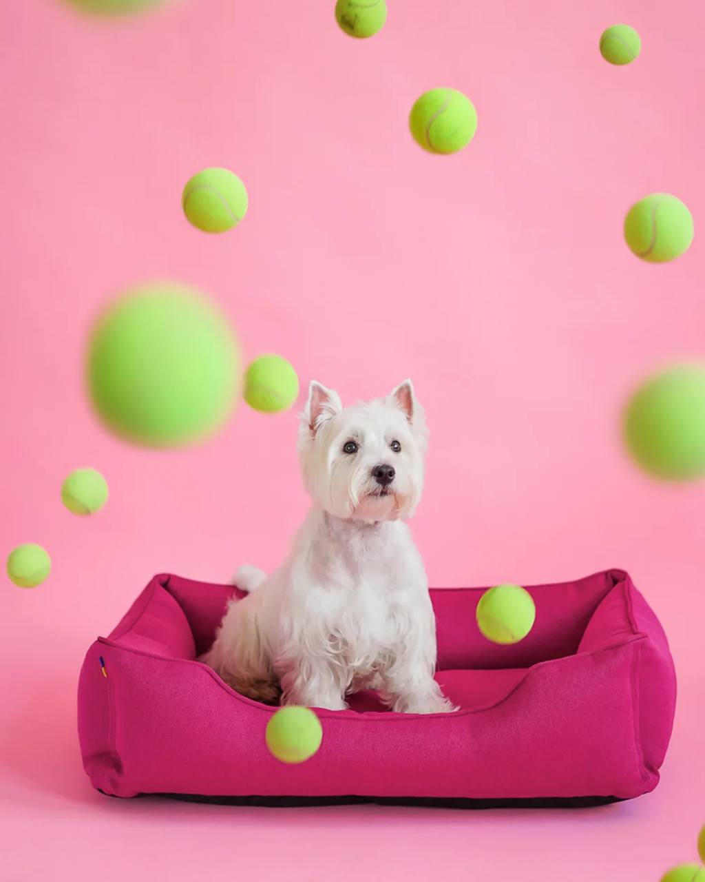 Soft Cotton Sleeper Dog Bed - Berry Pink Cushion Mat - Majestic Pet Kingdom