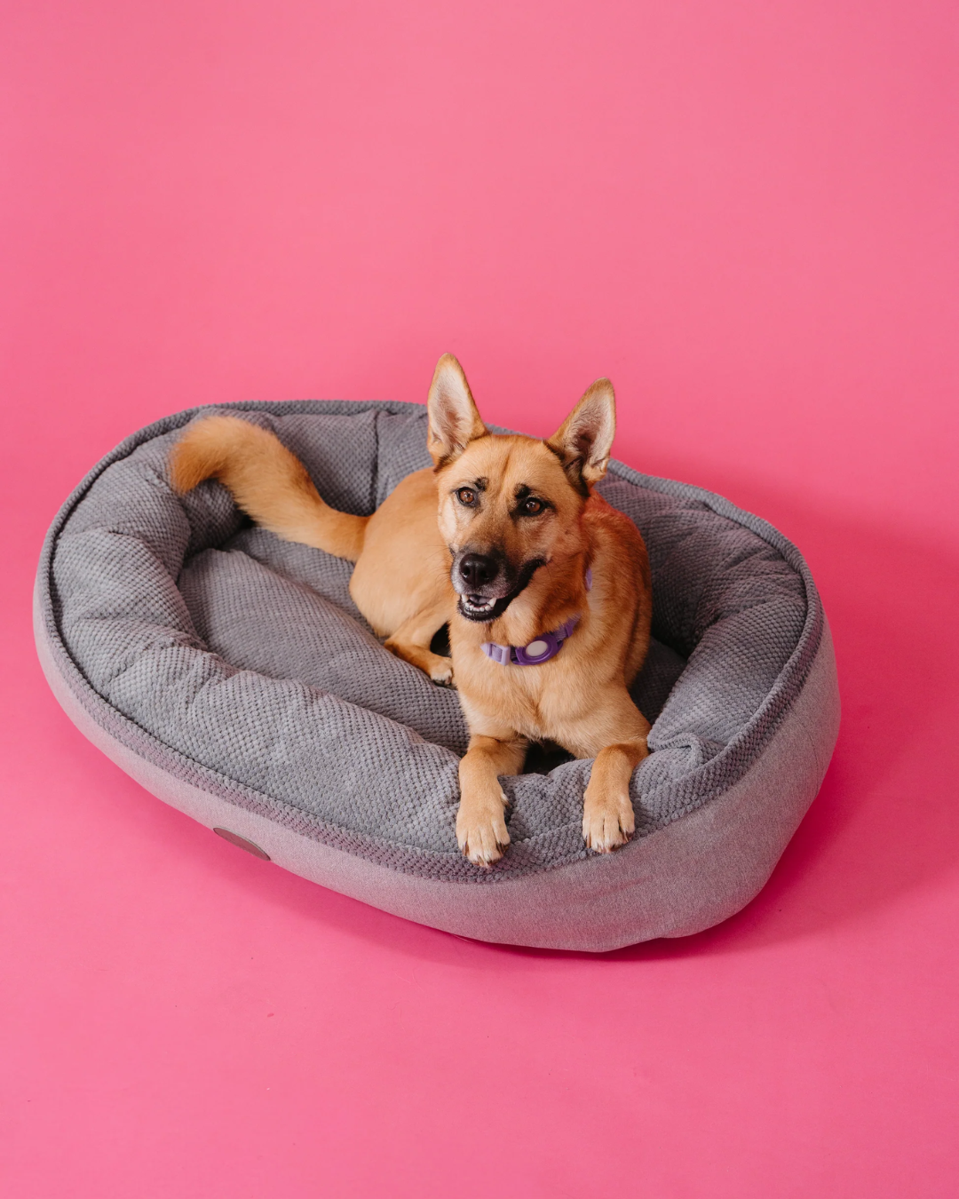 Faux Fur Bagel Dog Bed – Shearling Interior, Bolster, Gray