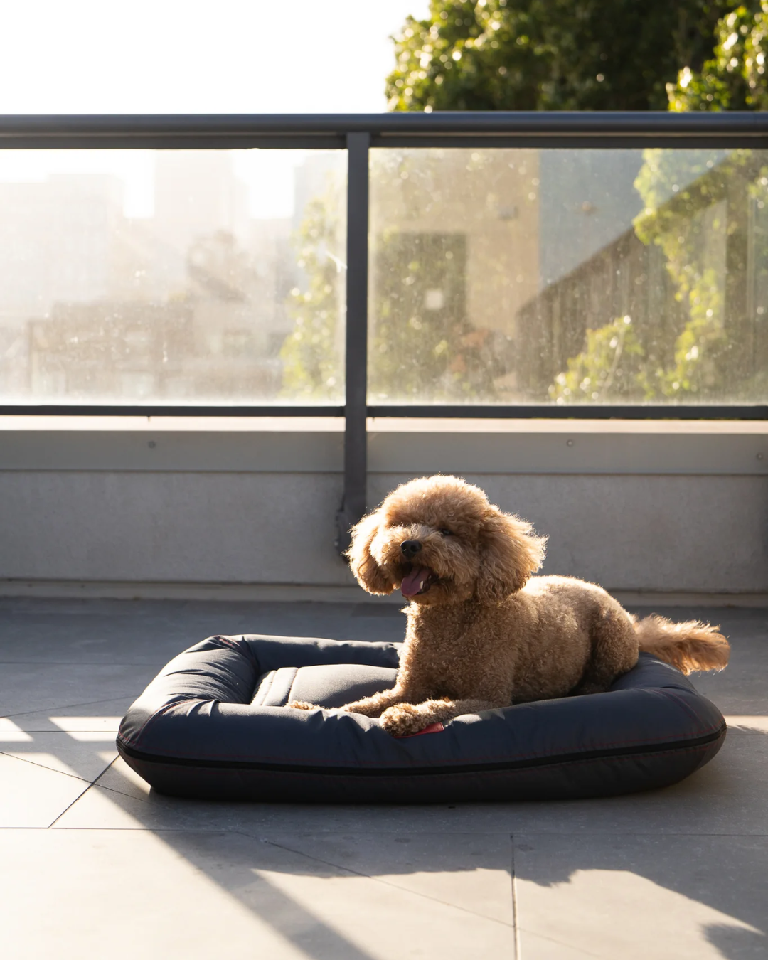 Waterproof Orthopedic Dog Bed – Oxford Lounger, Gray
