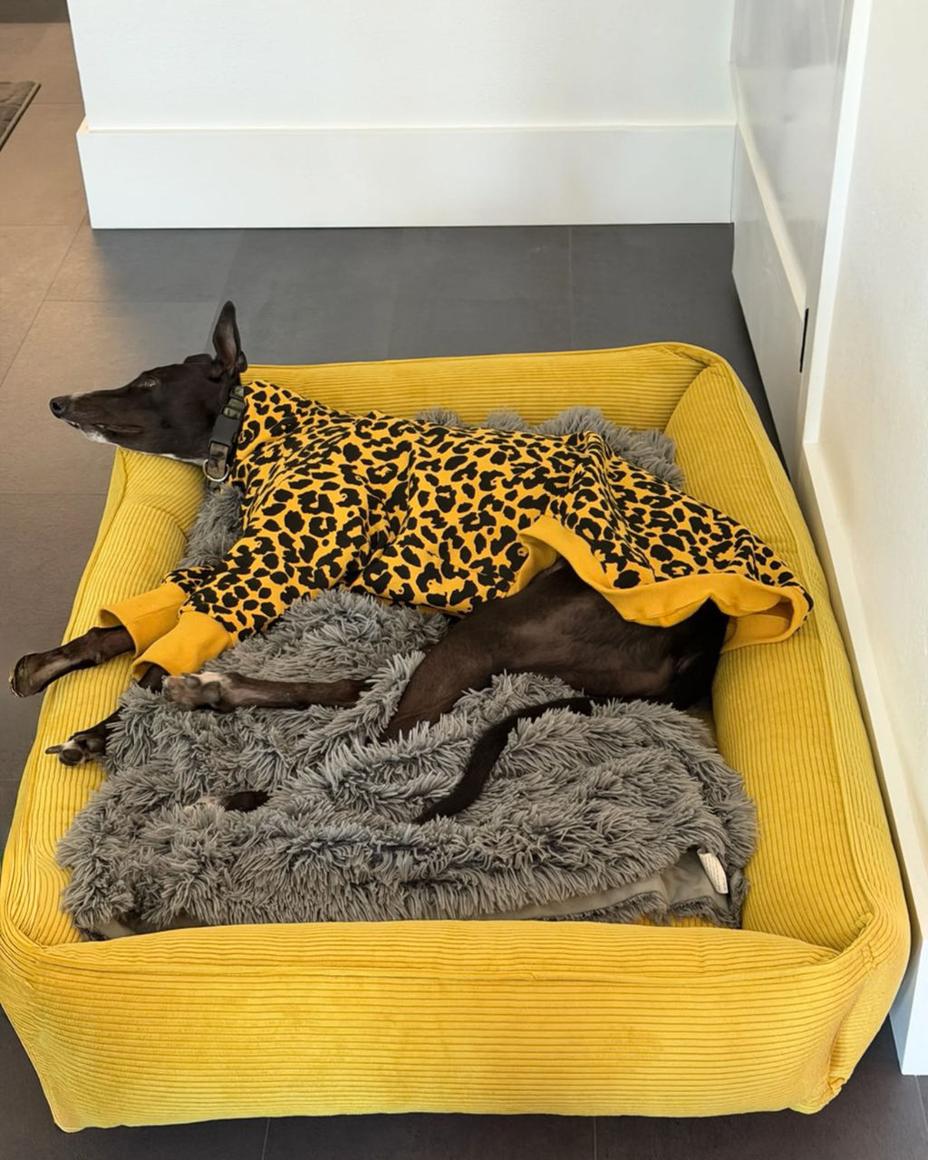 Fancy Corduroy Sleeper Dog Bed - Sunny Yellow Cushion - Majestic Pet Kingdom