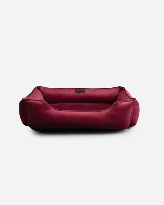pet-chester-ortho-series-luxury-view-2 | Majestic Pet Kingdom