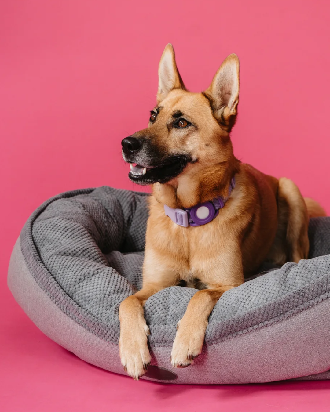 Faux Fur Bagel Dog Bed – Shearling Interior, Bolster, Gray