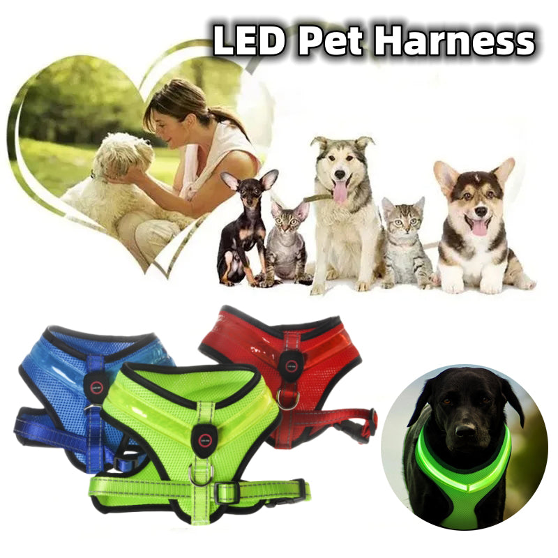 Dog Harness LED Light Up USB Rechargeable Glowing Night Vest