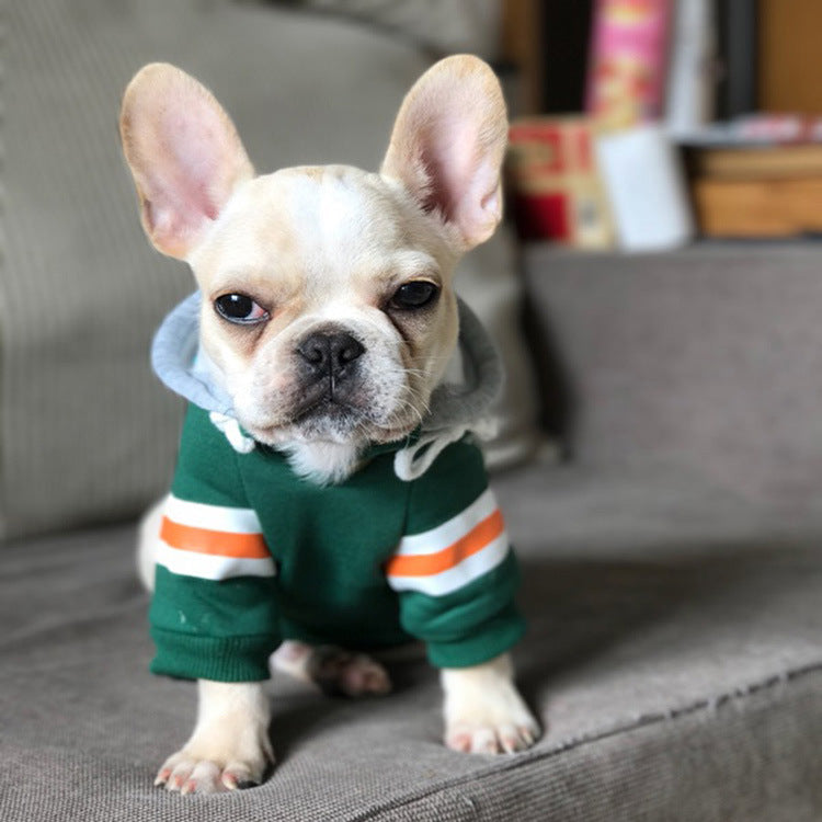 Pet sweater - Majestic Pet Kingdom