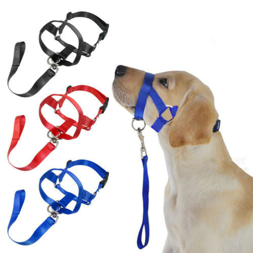 Dog rectification rushing leash dog cover Ergonomic Walking Harness | Majestic Pet Kingdom™
