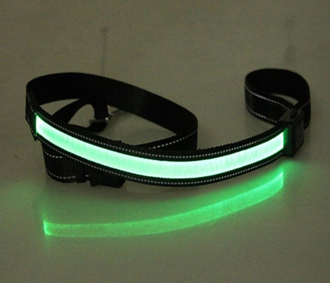 Dog Collar Fluorescent Neon High Visibility Safety Pet Band - Detail Angle 6 | Majestic Pet Kingdom