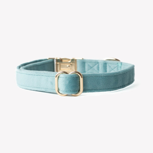 'Blue' - Velvet Dog Collar | Purrfect Pet Kingdom