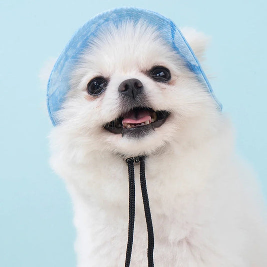 fashion-dog-hat-adjustable-pet-bucket-hats-with-ear-holes-summer-outdoor-round-brim-sun-hat-samll-dogs-cats-pet-supplies-luxury-view-2 | Majestic Pet Kingdom