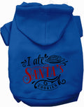 I Ate Santa's Cookies Pet Hoodie