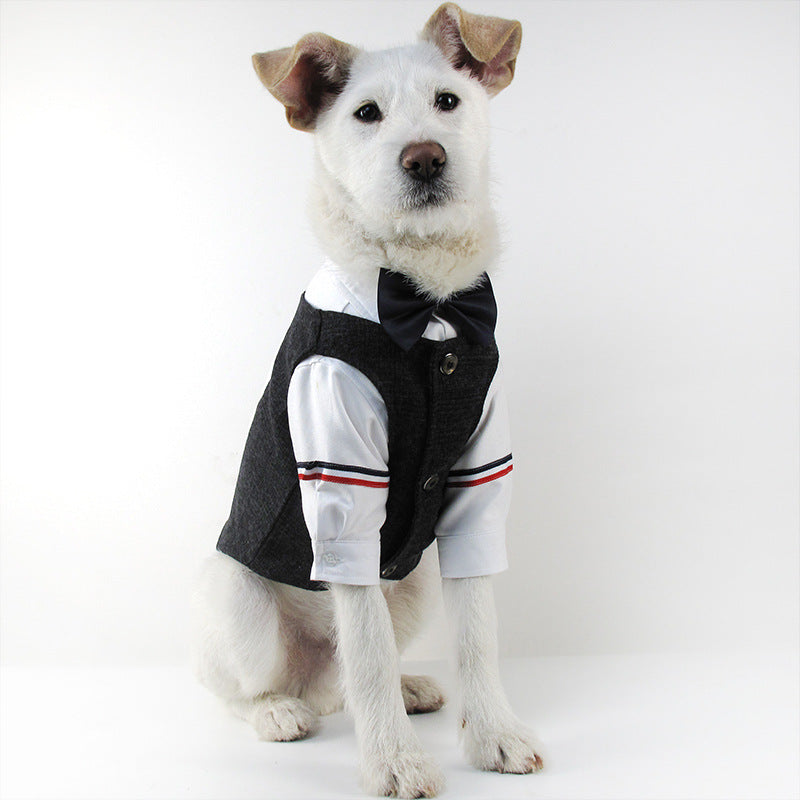 Pet wedding suit - Majestic Pet Kingdom