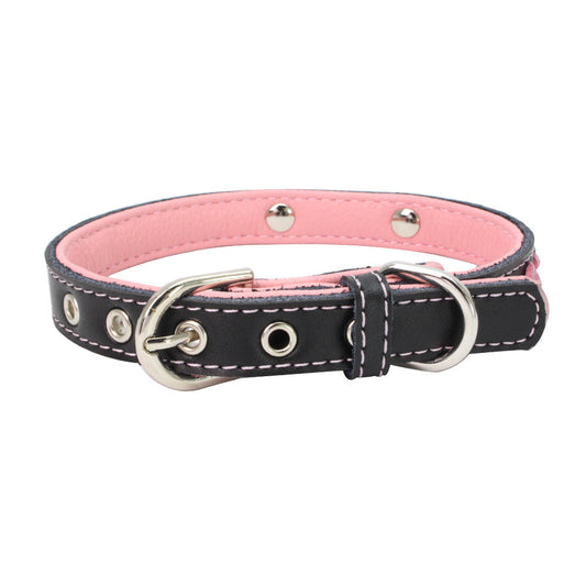Stainless Steel Iron Dog Collar with Laser Lettering | Purrfect Pet Kingdom