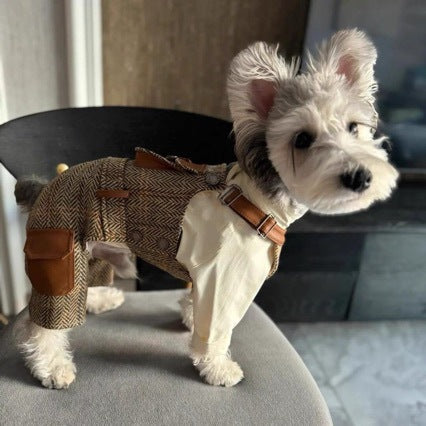 Autumn And Winter Overalls And Hoodies For Pet Cats And Dogs - Premium Pet Accessory