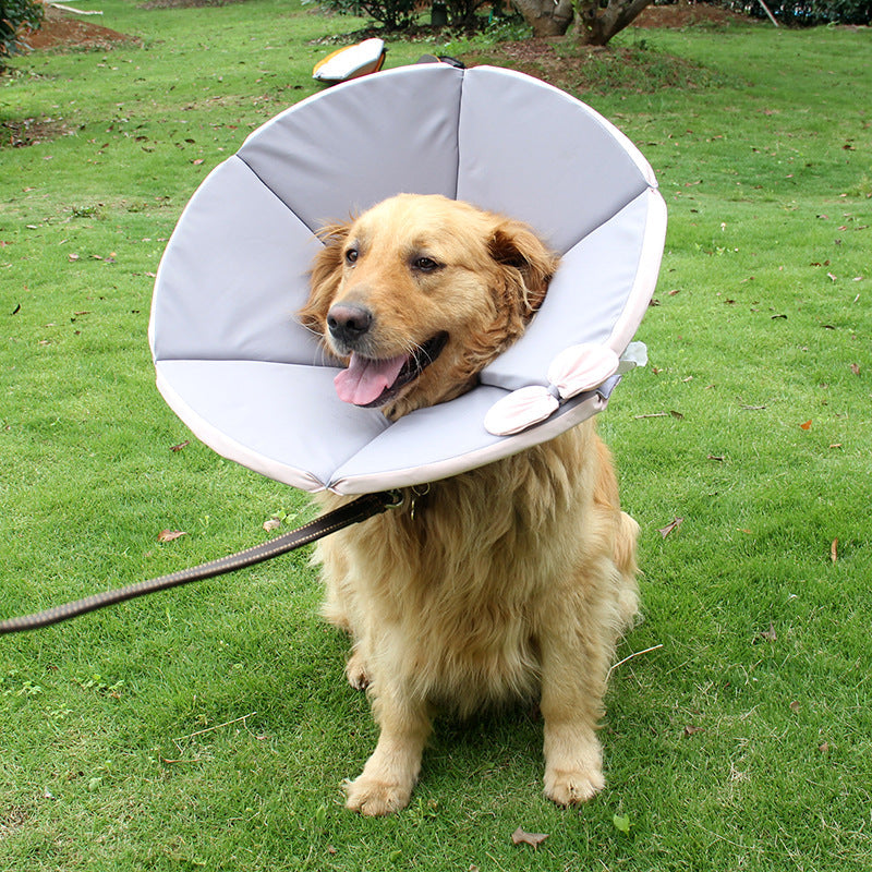 Dog Recovery Collar Soft Padded Medical E-Collar Protective Cone - Detail Angle 2 | Majestic Pet Kingdom