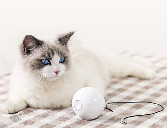 Smart Automatic Interactive Cat Toy Ball | Purrfect Pet Kingdom