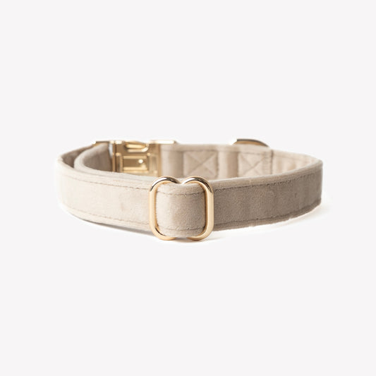 'Sand' - Velvet Dog Collar | Purrfect Pet Kingdom