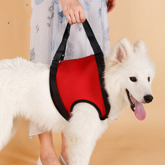 Old Disabled Golden Retriever Dog Pet Auxiliary Strap - Majestic Pet Kingdom