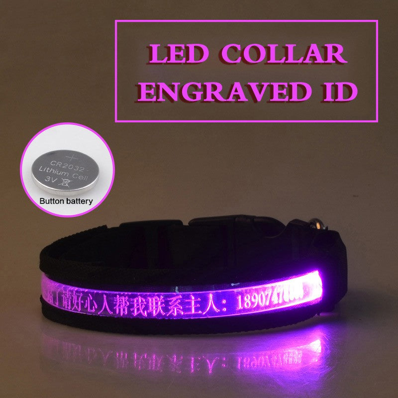 Pet Glow Collar Radium Carved Lettering Dog Collar Ergonomic Walking | Majestic Pet Kingdom™