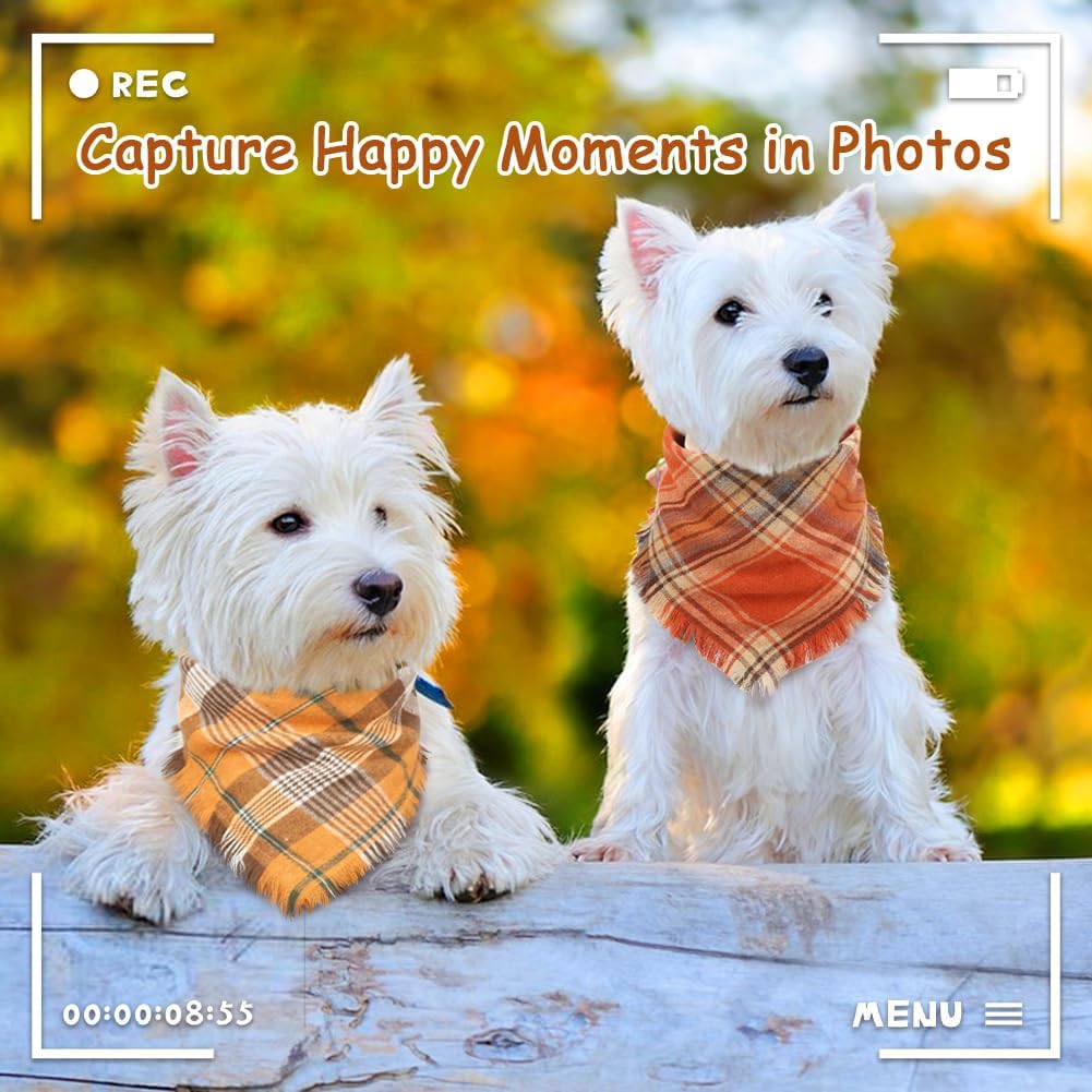 Luxury Pet Essentials - Purrfect Pet Kingdom™