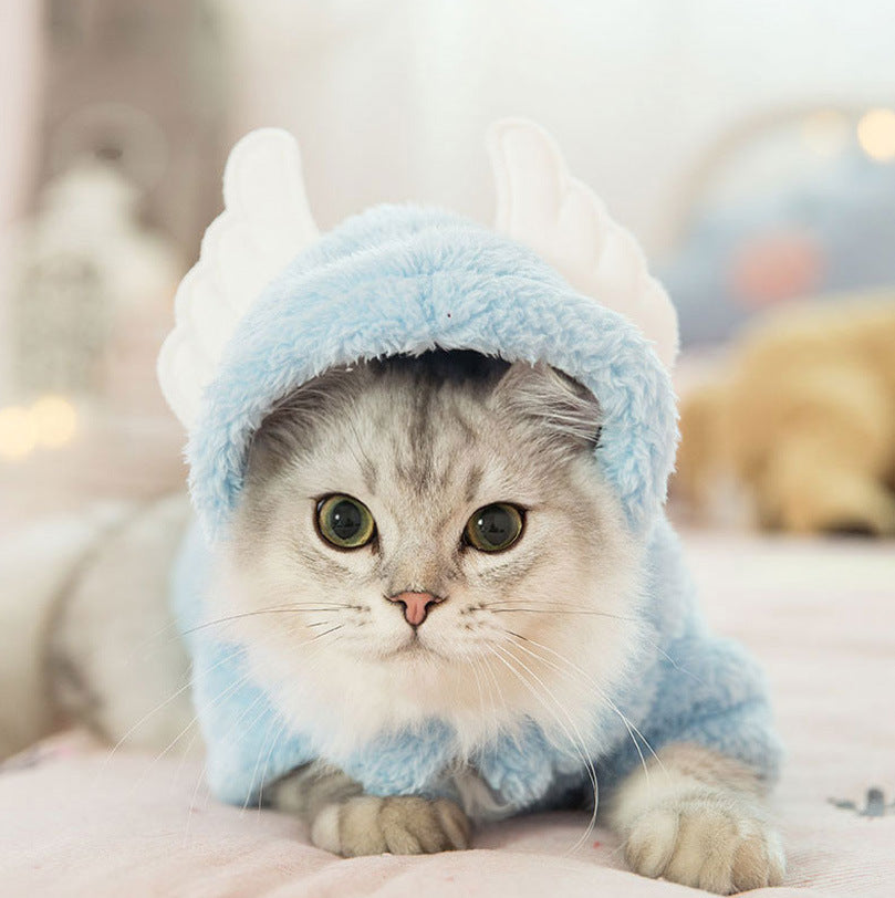 Cat clothes kitten cat cute funny pet - Majestic Pet Kingdom