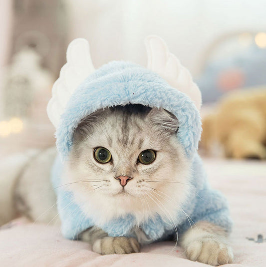Cat clothes kitten cat cute funny pet - Majestic Pet Kingdom
