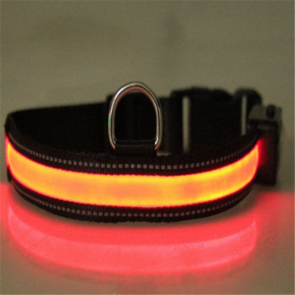 Dog Collar Fluorescent Neon High Visibility Safety Pet Band - Detail Angle 3 | Majestic Pet Kingdom