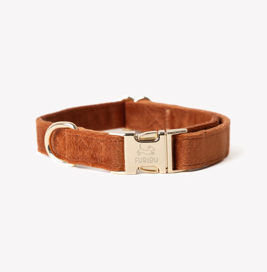 'Clay' - Velvet Dog Collar | Purrfect Pet Kingdom