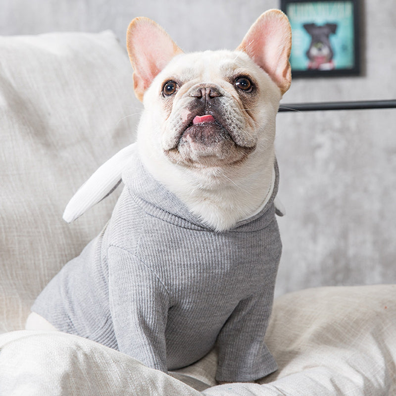 Dog Pet Clothes Spring And Autumn Clothing - Majestic Pet Kingdom