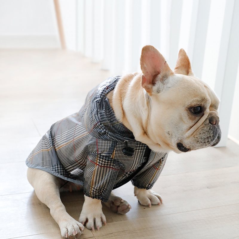 Dog plaid raincoat - Majestic Pet Kingdom