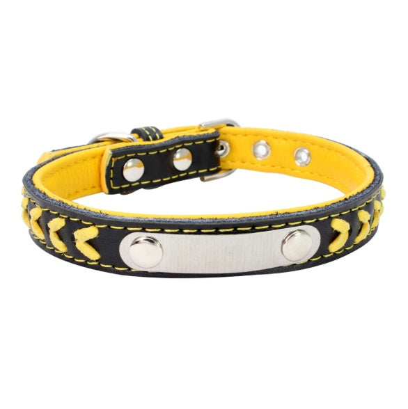 Stainless Steel Iron Dog Collar with Laser Lettering | Purrfect Pet Kingdom