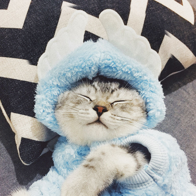 Cat clothes kitten cat cute funny pet - Majestic Pet Kingdom