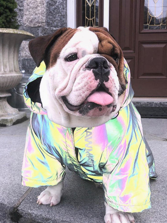 Microcrystalline reflective dog clothes - Majestic Pet Kingdom