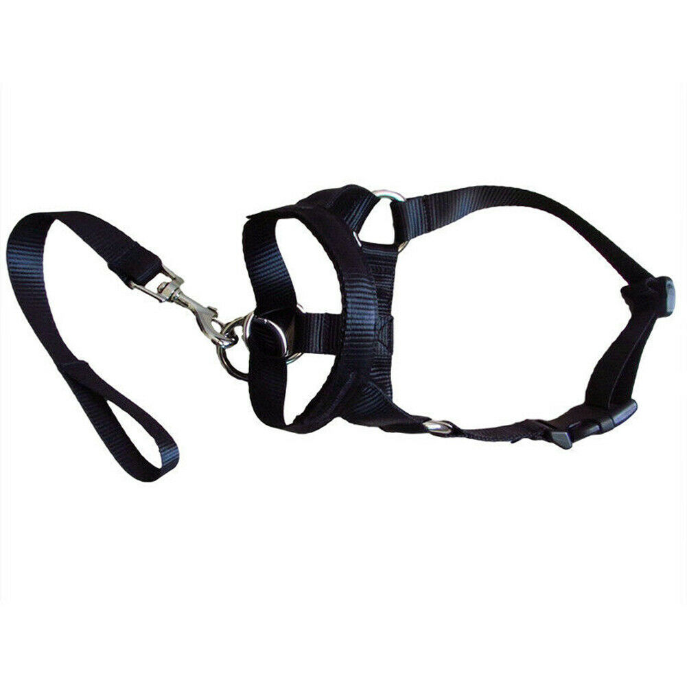 Luxury Pet Essentials - Purrfect Pet Kingdom™