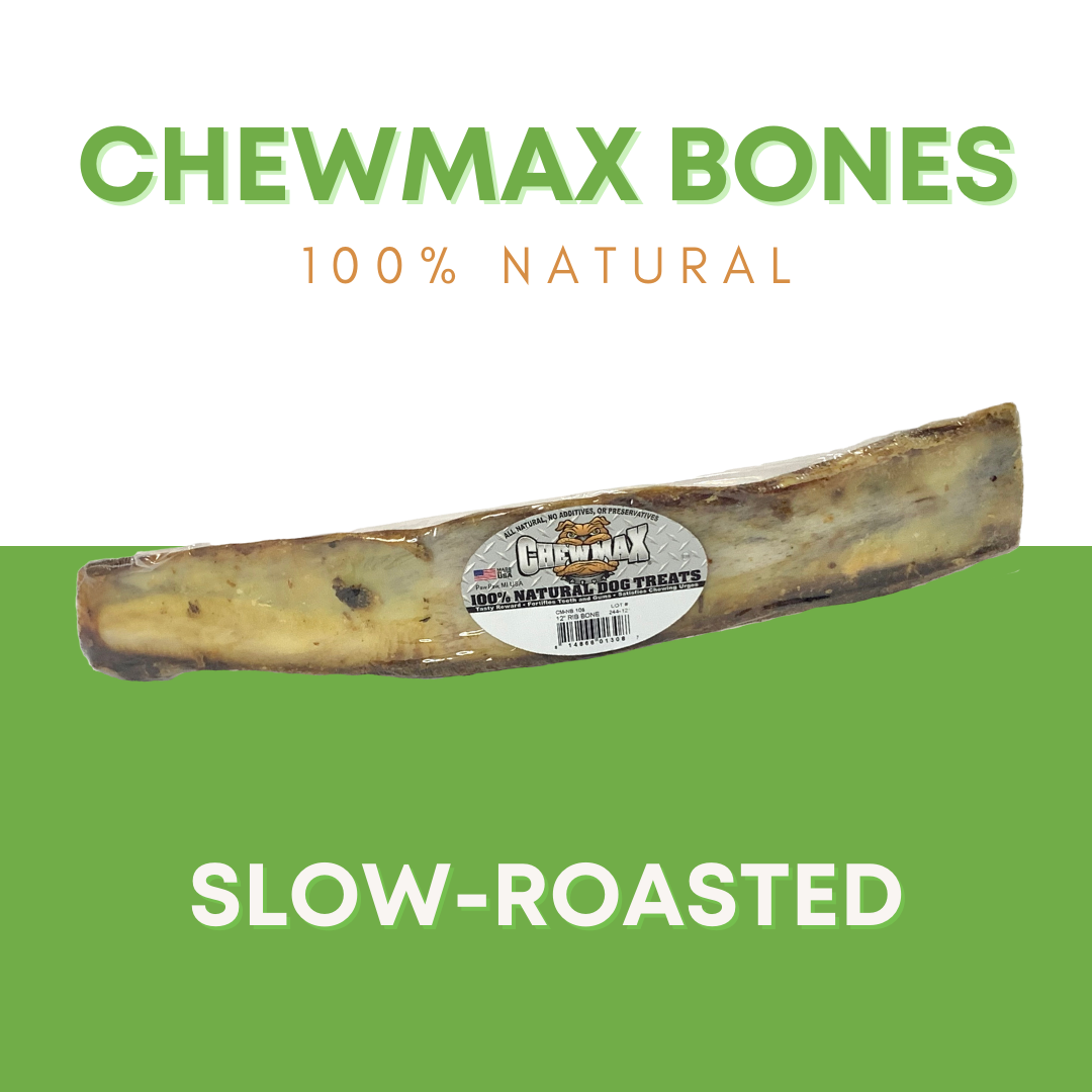 12" Beef Rib Dog Bone