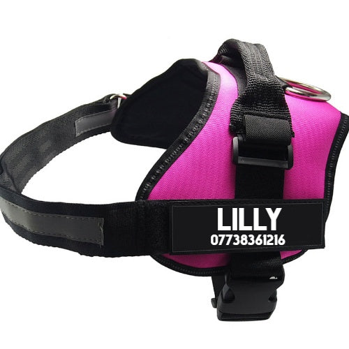 Dog Harness and Leash Set Breathable Mesh Step-In Walking Vest - Main Feature View | Majestic Pet Kingdom