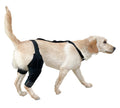 Dog Hind Leg Knee Brace Assist Strap