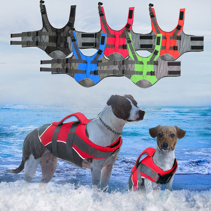 Dog swimwear vest - Majestic Pet Kingdom