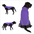 Dog clothes autumn winter clothes winter coats - Majestic Pet Kingdom