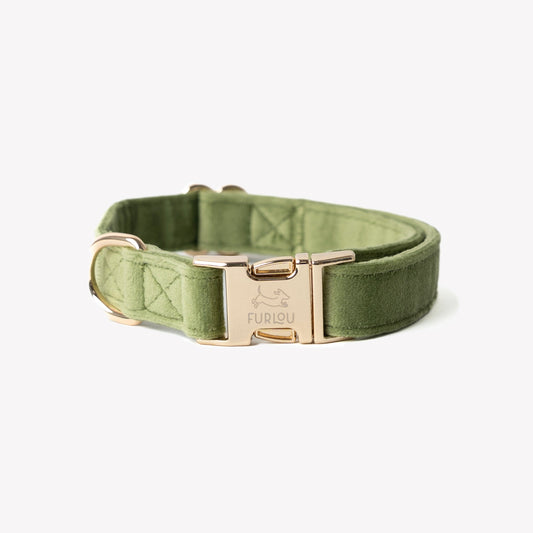 'Green' - Velvet Dog Collar | Purrfect Pet Kingdom
