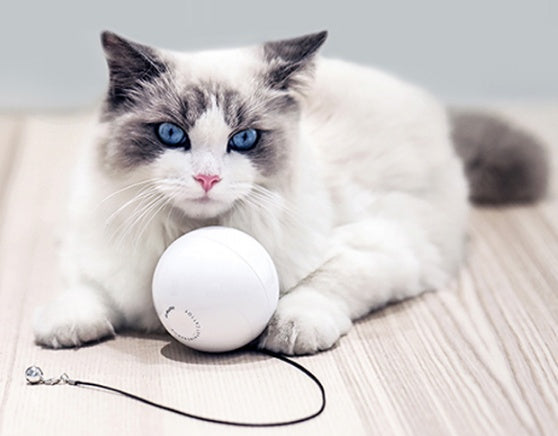 Cat Toy Smart Automatic Interactive Self-Rolling Play Ball T