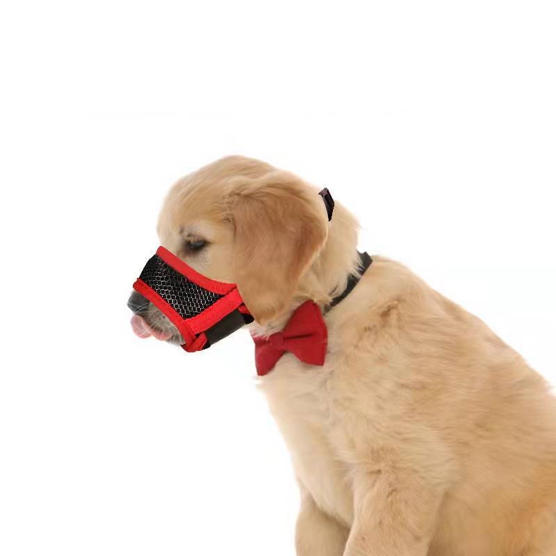 Luxury Pet Essentials - Purrfect Pet Kingdom™