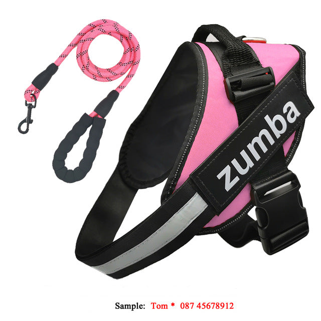 Dog Harness and Leash Set Reflective Breathable Custom Vest - Detail Angle 6 | Majestic Pet Kingdom