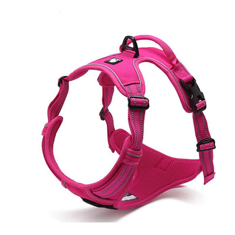 Large dog pet protection type chest back