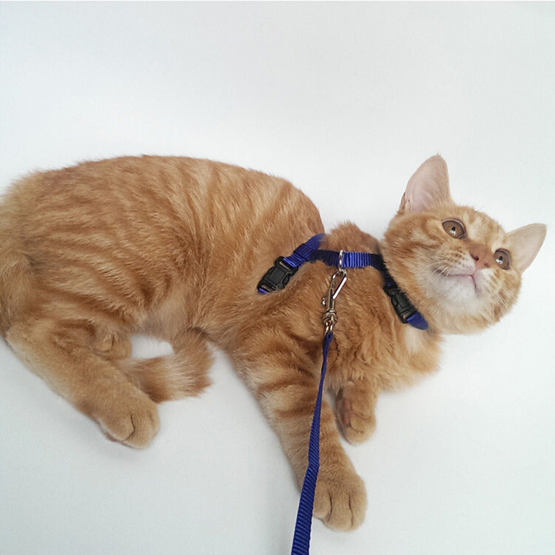 I-shaped solid color cat chest and back